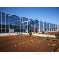 Greenhouse de vegetais multi-span agrícola